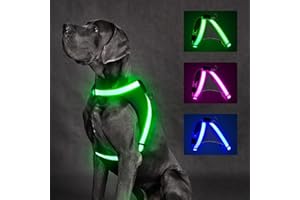 ChalkLit LED Leuchtendes Hundegeschirr USB Wiederaufladbares Vollständig Beleuchtetes Hundegeschirr Leuchtet Im Dunkeln für Nachtspaziergänge Sicherheitsweste, mittelgroße große Hunde(Grün, M)