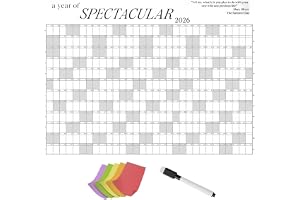365-dagars väggkalender 2026, 122 x 76 cm år med spektakulär väggplanerare med penna och klisterlappar, årsdiagram för, skola