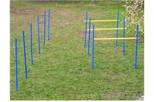 Procyon Dog Agility Trainings-Set 2 für Anfänger