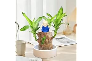 GENERISCH Brazilian Wood Plant,Mini Brasilien Glücksholz Decor,Indoorplants,Hydroponic Potted Stump,Plant Glücksbambus,Office Desk Mini Brazil Lucky Wood Indoor Büro Desktop Pflanze,Geschenke (Blau)