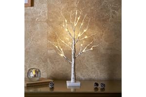 EAMBRITE White Christmas Tree with Lights Mini Birch Twig Tree Ornament with 24 Warm White LEDs Battery Operated Tabletop Decoration for Christmas Home Party Wedding (60cm/2ft)