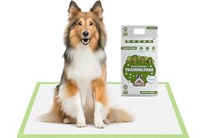 POGI'S PET SUPPLIES Pogi's Training Pads (20-Pezzi) (60x90cm) - Taglia Extra Large, Super Assorbente, Tappetino Assorbente Ecologico per Addestramento per Cani di Taglia Media Fino a Taglia Grande