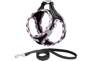 Elevant Arnés Perro Pequeños, Arnés Antitirones Transpirable Reflectante Cómodo Arneses Chaleco para Perros Pequeños Mediano Gatos, Cachorros (XXS, Negro)