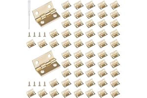 Roosea 60 Pcs Mini Hinges 15 * 18 mm for Dolls House with 240 Pcs Screws and Screwdriver - Gold