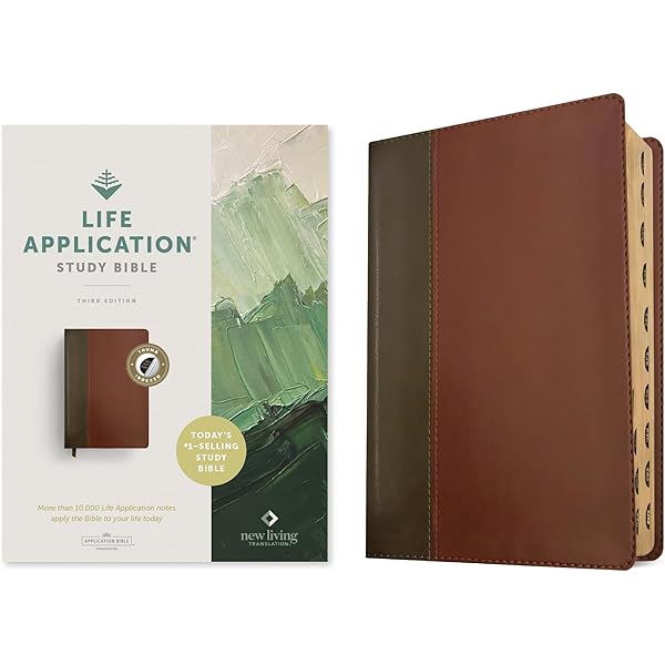 NLT Student Life Application Study Bible, Filament Enabled