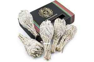 MUT22 5 Torce Salvia Bianca Sacra da Bruciare - Erba di Purificazione e Armonia, Salvia Apiana 100% Naturale, Ideale per la Pulizia Spirituale e i Rituali Energetici (5 Torce Salvia Bianca)