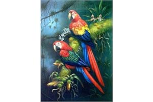 MXJSUA DIY 5D pintura diamante para adultos principiantes con dos loros, animales en punto de cruz del hogar,5d diamond pintura de diamantes, diamond painting lienzo para decoración del hogar, 40 x 40 cm