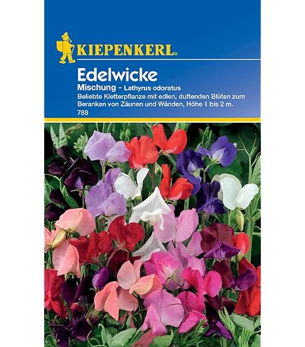 oberkulmer rotkorn saatgut Verzehrfertiger Bio Oberkulmer Rotkorn Dinkel aus Deutschland  Good Crop