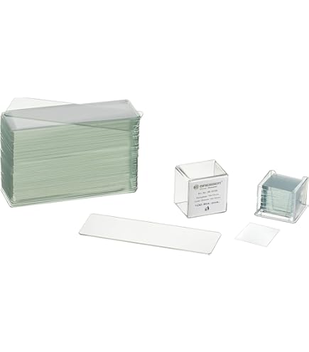 Lot De 30 Lames De Microscope Avec échantillons Biologiques Insectes