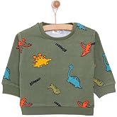 HelloBaby Erkek Bebek Sweatshirt Dinozor Desenli &Ccedil;ıt&ccedil;ıtlı Bisiklet Yaka Uzun Kol Karışık Renkli