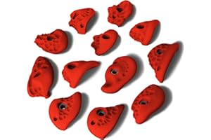 ‎ALPIDEX ALPIDEX 12 Klettergriffe L | Henkelgriffe | Strukturierte Oberflächen | Größe L | Mitteltiefe Hinterschneidungen | Klettersteine | Verschiedene Ausformungen Farben