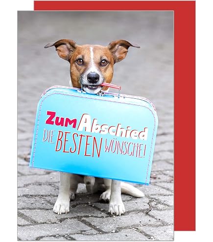Premium Abschiedskarte Mit Erdmännchen – Lustig & Wertschätzend, Mit Umschlag