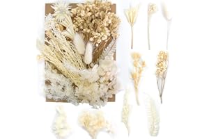 Smatime Suszone Kwiaty, prasowane naturalne suszone kwiaty, mieszanka suszonych kwiatów, zestaw suszonych kwiatów do makijażu, scrapbookingu, majsterkowania, dekoracji albumów, świec i DIY (białe)