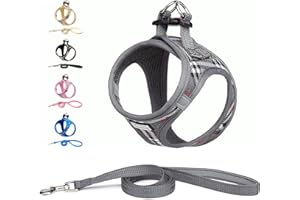 Suredoo Pettorina Cane Taglia Piccola Riflettente, Step-in Pettorina per Cani Gatti Cuccioli con Guinzaglio Comodo, Traspirante Imbracatura Cane Imbottito per Corsa (Grigio, S)