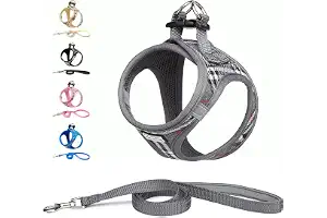 Suredoo Arnés para Perro Pequeños con Correa, Arnés Antitirones Reflectante Cómodo Transpirable Arneses Chaleco para Perros Pequeños Gatos, Cachorros (Gris, S)