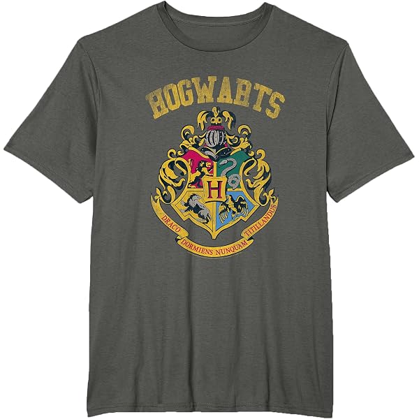 Nemesis Now Harry Potter Hogwarts Express Biglietto Da Appendere Licenza Ufficiale H 536991