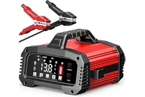 HUSGW 25A Caricabatteria da Auto, Caricabatterie per Auto LiFePO4 12V 24V, Caricabatteria portatile con funzione BOOSTER, Intelligente Schermo LED Caricabatteria per Auto Moto Camion, AGM, Gel, SLA (25A)
