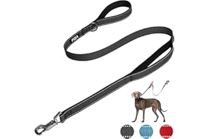 Fida Heavy Duty Dog Leads for Medium/Large Dogs, 1.2M / 4FT Traffic Handle & Advanced Hook for More Control, Reflective Dog Lead for Daily Walking & Training (Black)