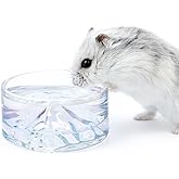 Niteangel Hamster Besleme ve Su Kaseleri - Fuji Dağı Serisi C&uuml;ce Suriye Hamsterleri i&ccedil;in Cam İ&ccedil;me Kaseleri Gerbils Fareler Fa