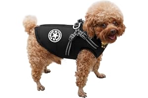 RarSSA Hundemantel Wasserdicht, Warme Winter Hundejacke mit Geschirr, Hund Wintermantel für Kleine Mittel GroÃŸe Hunde, Chihuahua Labrador Französische Bulldogge Mantel