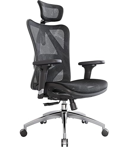 Dowinx Chaise De Bureau Ergonomique Avec Rembourrage D'assise