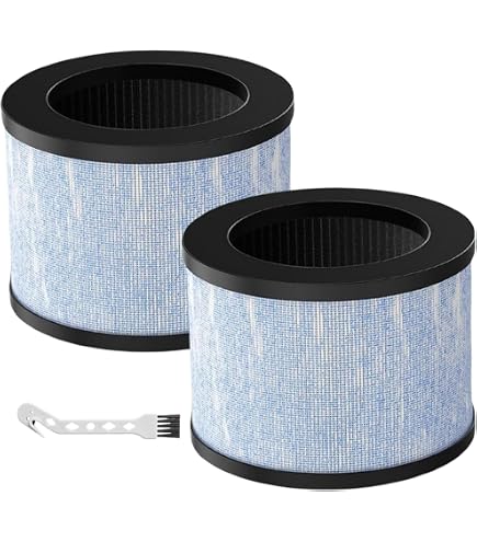 2 Filtri H13 True Per Purificatore D'Aria AROEVE DH-JH12 – Nylon E Carbone Attivo