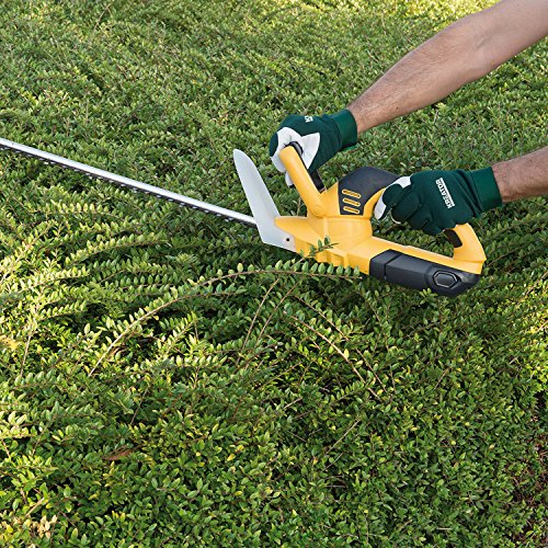 Gartenhandschuhe Arbeitshandschuhe aus Schweinsleder – mit Klettverschluss Gr. M/L - 4