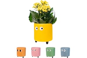 fisura. - Pot de Fleurs Original avec Motif d'œil. Pot de Fleurs et de Plante décoratif. Jardinière décorative d'intérieur. Pot en céramique Jaune pour Fleurs et Plantes grasses.13 x 12,5 cm.