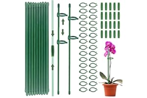 JYNVO 20 Pezzi Supporti Per Piante, Tutori Per Piante, In Bambù Con 40 Fibbie E 15 Tubi Di Collegamento Bidirezionali, 30 Cm, Bastoncini Per Piante, In Bambù, Per La Casa, Il Giardino, La Pianta Rampicante