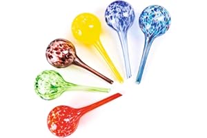 BURWELLS 6 X Glass Plant Watering Globe Stakes - Self Watering Feeding System for Indoor and Outdoor Use - Automatic Waterers for Planters, Pots, Hanging Baskets - Aqua Ball Drip Feeders Ideal for Holidays