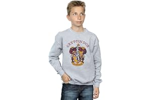 ABSOLUTE CULT Harry Potter Garçon Gryffindor Crest Sweat-Shirt