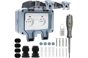JOYELEC Prise Exterieure Etanche IP66 Double Prise de Courant et Volet de Protection Multiprise Electrique Murale de Jardin, Prise Anti-Poussière et Coupe-Vent avec Interrupteur, Voyant Lumineux (MPG2-FSN)