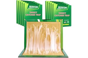 KOVIM Pest Trap Pads Board - Large Extra Strong Sticky Trap for Multiple Insects in Indoor Outdoor Home Kitchen Garden (B. 10 Pcs)