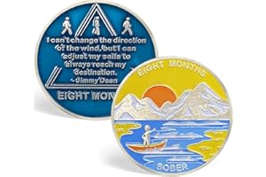 GENERIC 8 Month Sobriety Coin AA Chips and Medallions Eight Month Sobriety Chip Sobriety Gifts for Men Women Alcoholics Anonymous Gifts Addiction Recovery Gift