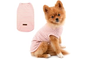 PAIDEFUL Vêtements pour Petits Chiens Garçon Fille été rayé Chiot t-Shirt Gilet Respirant Coton t-Shirt sans Manches Chihuahua Yorkshire Rose S