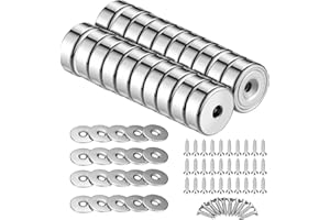 calamite potenti LDUDU 20 pezzi 12KG forza 20 x 7 mm con foro, magnete svasato con viti e 20 pastiglie in acciaio (Argento)