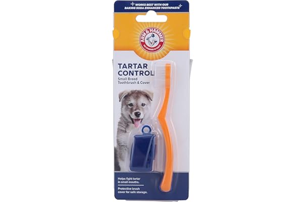 disposable dog toothbrushes