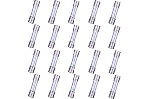 HUAREW F10AL250V 20 piezas fusible de vidrio de acción rápida 5x20 mm 10A 250 V 0,2 x 0,78 pulgadas fusible de retardo de tiempo (paquete de 20 piezas)