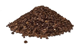 Landixx Buchweizen 5 kg Saatgut Samen Zwischenfrucht Gründünger Fagopyrum tartaricum Einzelsaatgut