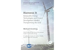 Harness It: Renewable Energy Technologies and Project Development Models Transforming the Grid