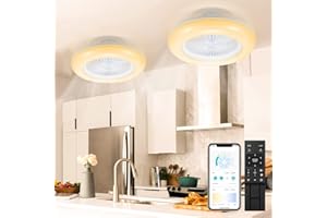 SWANEW 2 pièces 80W Ventilateur Plafond Avec Lumiere, 55CM Dimmable (3000-6000K) LED Fan Plafonnier avec Télécommande et APP, Mode été Hiver, 6 Vitesses Plafond Fan Lumière Éclairage