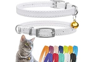 CollarDirect Leder Katzenhalsband mit Sicherheitsverschluss und Glocke 21,5 cm Weiß