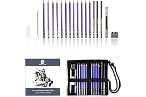 DEHUA ART Lot de 20 crayons à dessin et croquis professionnels avec sac portable Violet