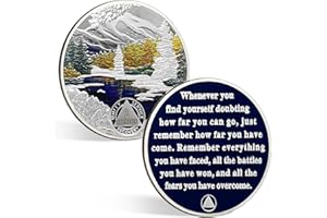 CHURYUML 2 Month Sobriety Coin 60 Day Sobriety Chip Two Month AA Coins Recovery Medallions Sobriety Gifts for Men Women Sober Token Alcoholics Anonymous Gift with Capsule, Display & Card