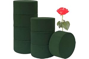 DALAETUS 8 Pcs Round Floral Foam, 8cm Oasis Flower Wet Dry Plant Foam, Foam Blocks for Fresh and Artificial Flower, DIY, Arts, Crafts, Room Decor, Displays and Designs, Weddings, Party