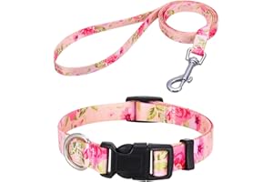 Mihqy Hundehalsband und Leine Set, Verstellbares, Weich & Komfort Nylon Hunde Halsband für Kleine Mittlere Große Hunde Welpen Katzen(Pinke Rose Set,M)