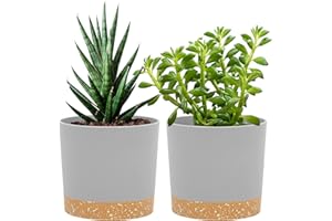 QCQHDU Bumentöpfe 2er Pack 12,7 cm,Bumentöpfe für Zimmerpflanzen mit Entwässerungslöchern und abnehmbarem Boden,Untersetzer Modern Dekorativ für Outdoor Garten Pflanzgefäße(Hellgrau 12,7 cm)