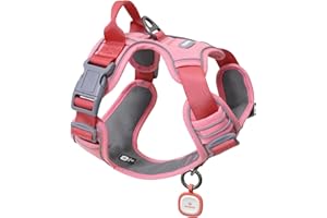 Pawaii Hundegeschirr Hundegeschirr für Kleine Hunde mit Griff Pink Anti Zieh Geschirr Brustgeschirr Anti Zug Gepolsterte Reflektierende Verstellbare Atmungsaktive Hundegechirr mit ID Tag(S Pink)
