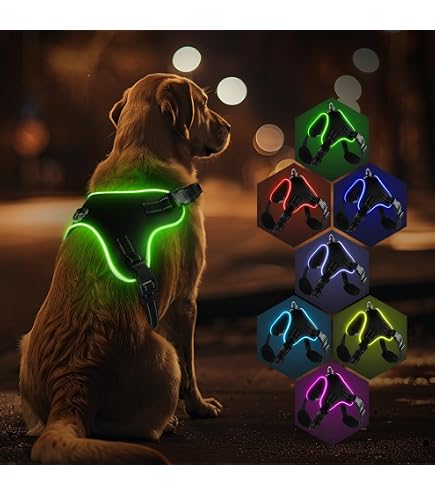 Arnés Iluminado Para Perro Recargable - LED Ajustable E Impermeable, Para Perros Medianos Y Grandes | Ideal Para Paseos Nocturnos Seguros