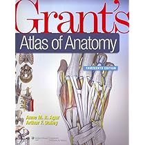 Buy Grant's Atlas of Anatomy (GRANT, JOHN CHARLES BOILEAU//GRANT'S